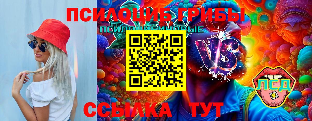 Галлюциногенные грибы GOLDEN TEACHER Россошь