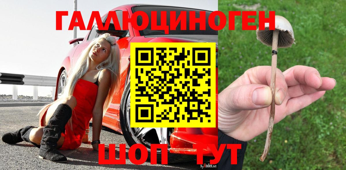 Россошь  Псилоцибиновые грибы мухоморы  Вход с VPN 